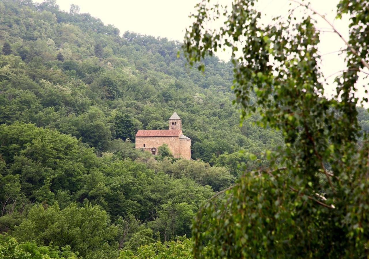 Sahorre Beau Vallon - Gite Et Chambres D'Hotes Pyrenees-Mediterranee - Pays Catalan מראה חיצוני תמונה