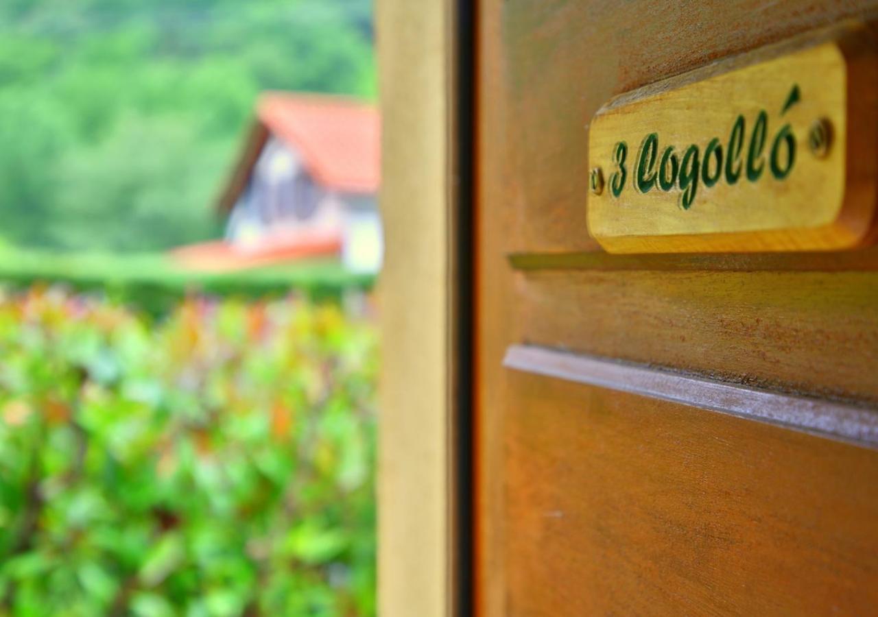 Sahorre Beau Vallon - Gite Et Chambres D'Hotes Pyrenees-Mediterranee - Pays Catalan מראה חיצוני תמונה