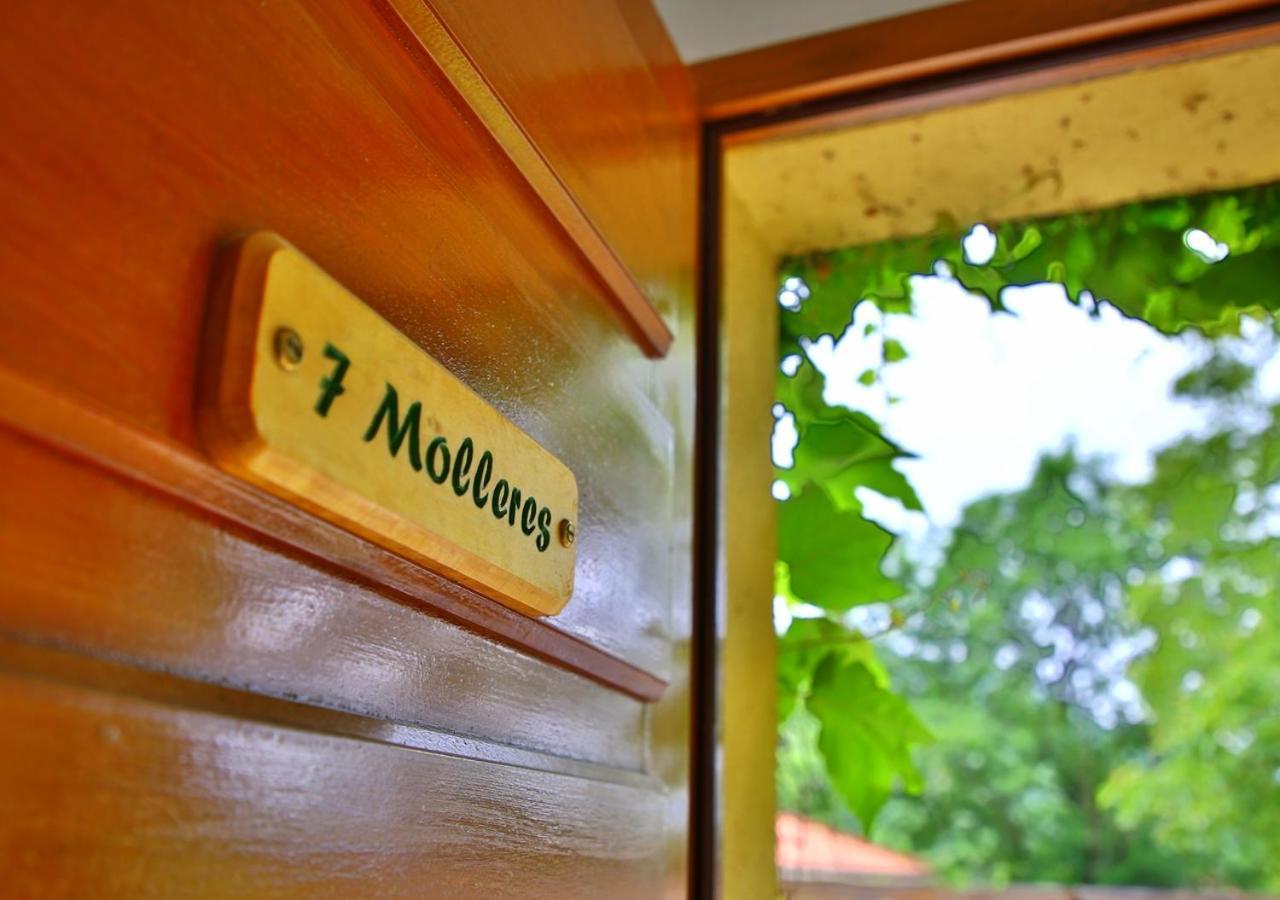 Sahorre Beau Vallon - Gite Et Chambres D'Hotes Pyrenees-Mediterranee - Pays Catalan מראה חיצוני תמונה
